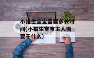 小猫生宝宝需要多长时间(小猫生宝宝主人需要干什么)