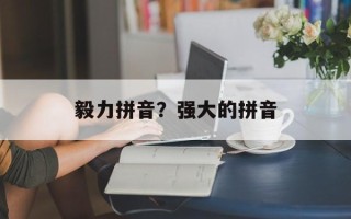 毅力拼音？强大的拼音