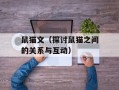 鼠猫文（探讨鼠猫之间的关系与互动）