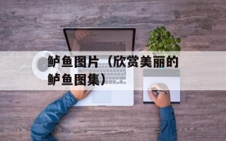 鲈鱼图片（欣赏美丽的鲈鱼图集）