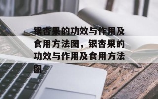 银杏果的功效与作用及食用方法图，银杏果的功效与作用及食用方法图
