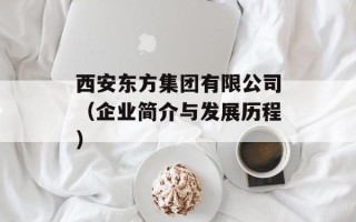 西安东方集团有限公司（企业简介与发展历程）