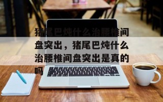 猪尾巴炖什么治腰椎间盘突出，猪尾巴炖什么治腰椎间盘突出是真的吗
