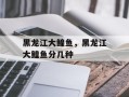 黑龙江大鳇鱼，黑龙江大鳇鱼分几种