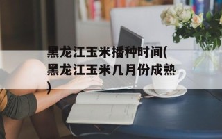 黑龙江玉米播种时间(黑龙江玉米几月份成熟)