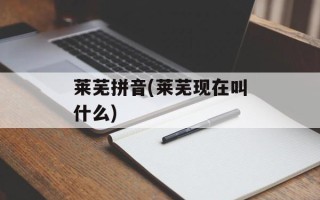 莱芜拼音(莱芜现在叫什么)