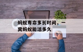 蚂蚁寿命多长时间，一窝蚂蚁能活多久