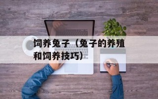 饲养兔子（兔子的养殖和饲养技巧）