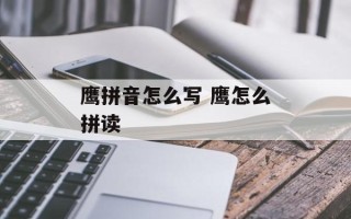 鹰拼音怎么写 鹰怎么拼读