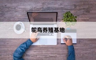 鸵鸟养殖基地