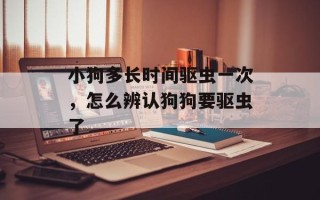 小狗多长时间驱虫一次，怎么辨认狗狗要驱虫了