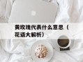 黄玫瑰代表什么意思（花语大解析）