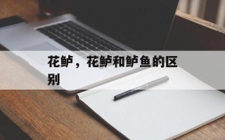 花鲈，花鲈和鲈鱼的区别