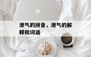 泄气的拼音，泄气的解释和词语