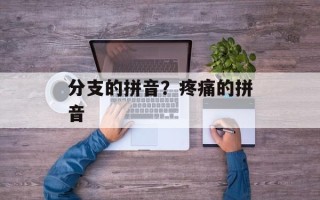 分支的拼音？疼痛的拼音