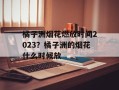 橘子洲烟花燃放时间2023？橘子洲的烟花什么时候放