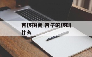 杏核拼音 杏子的核叫什么
