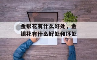 金银花有什么好处，金银花有什么好处和坏处