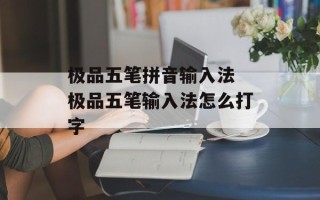 极品五笔拼音输入法 极品五笔输入法怎么打字