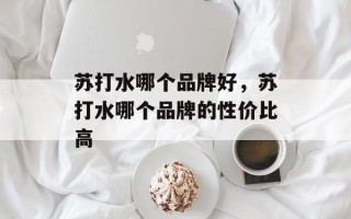 苏打水哪个品牌好，苏打水哪个品牌的性价比高