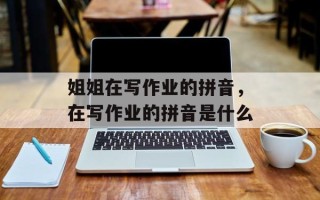 姐姐在写作业的拼音，在写作业的拼音是什么