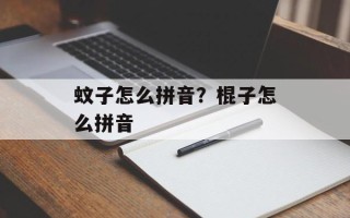 蚊子怎么拼音？棍子怎么拼音
