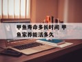 甲鱼寿命多长时间 甲鱼家养能活多久
