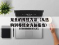 龙鱼的养殖方法（从选购到养殖全方位指南）