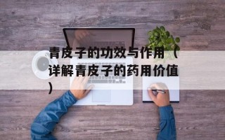 青皮子的功效与作用（详解青皮子的药用价值）