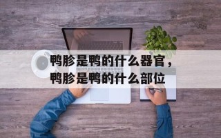 鸭胗是鸭的什么器官，鸭胗是鸭的什么部位