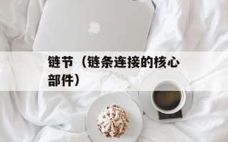 链节（链条连接的核心部件）