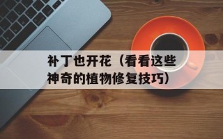 补丁也开花（看看这些神奇的植物修复技巧）