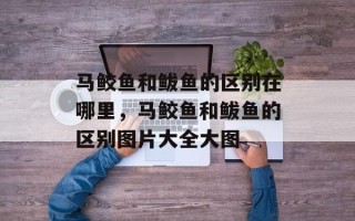 马鲛鱼和鲅鱼的区别在哪里，马鲛鱼和鲅鱼的区别图片大全大图