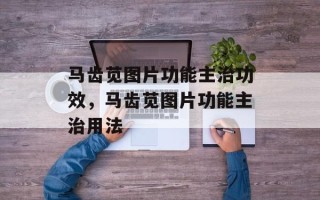 马齿苋图片功能主治功效，马齿苋图片功能主治用法