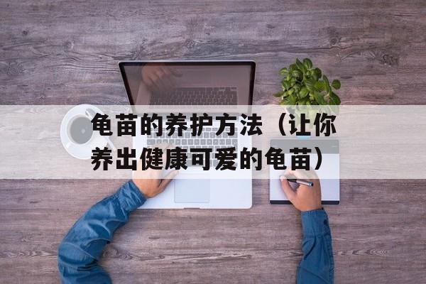 龟苗的养护方法（让你养出健康可爱的龟苗）-第1张图片-