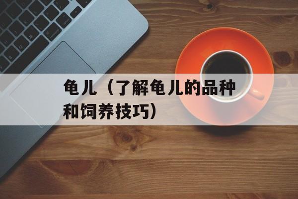 龟儿（了解龟儿的品种和饲养技巧）-第1张图片-