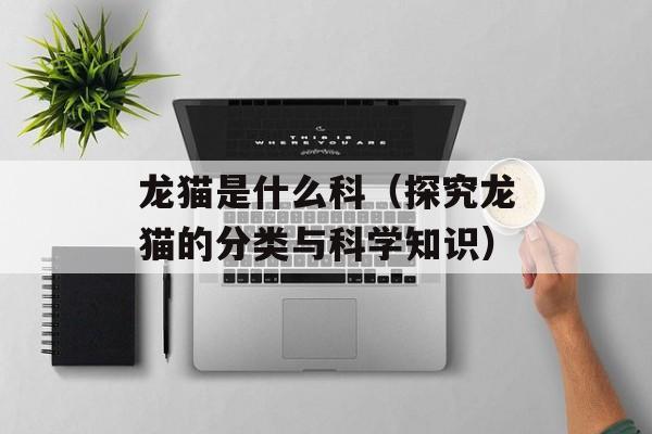龙猫是什么科（探究龙猫的分类与科学知识）-第1张图片-