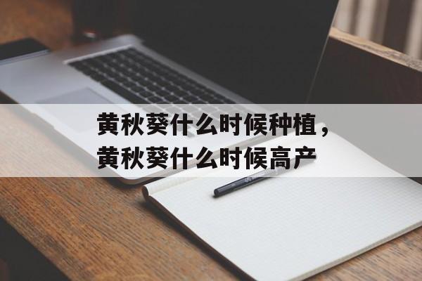 黄秋葵什么时候种植，黄秋葵什么时候高产-第1张图片-