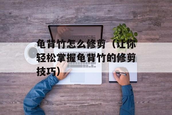 龟背竹怎么修剪（让你轻松掌握龟背竹的修剪技巧）-第1张图片-