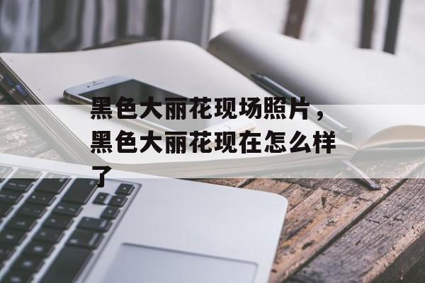 黑色大丽花现场照片，黑色大丽花现在怎么样了-第1张图片-