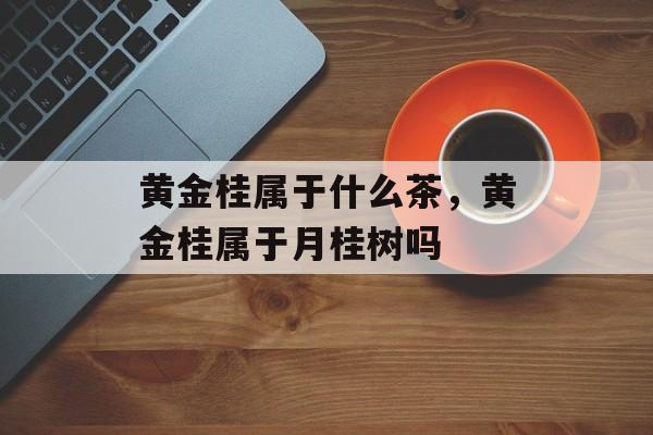 黄金桂属于什么茶，黄金桂属于月桂树吗-第1张图片-
