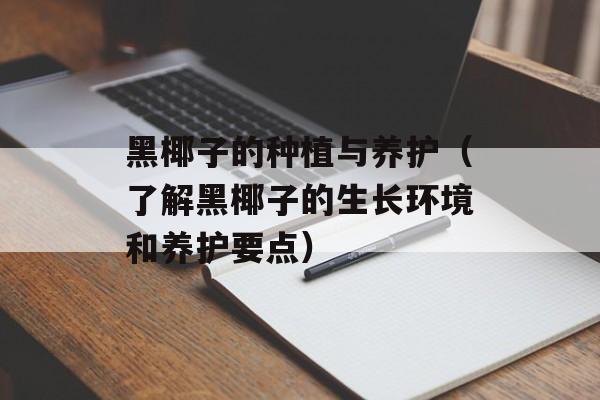 黑椰子的种植与养护（了解黑椰子的生长环境和养护要点）-第1张图片-