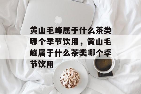 黄山毛峰属于什么茶类哪个季节饮用，黄山毛峰属于什么茶类哪个季节饮用-第1张图片-