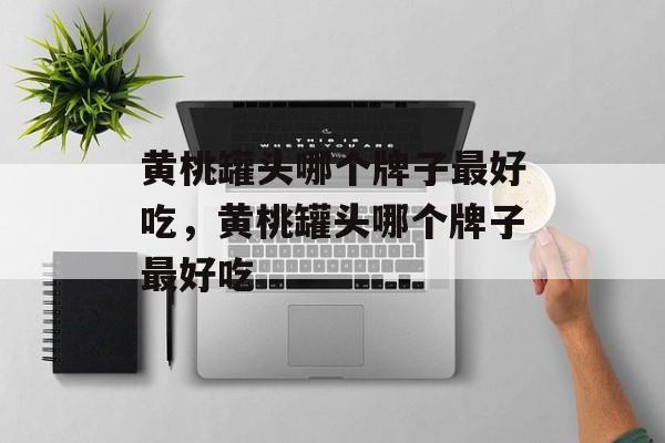 黄桃罐头哪个牌子最好吃，黄桃罐头哪个牌子最好吃-第1张图片-