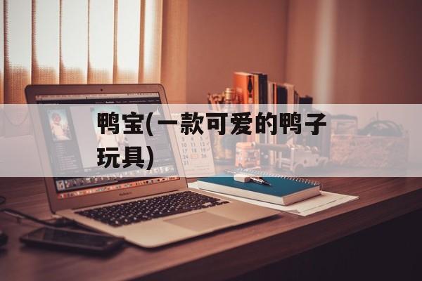 鸭宝(一款可爱的鸭子玩具)-第1张图片-