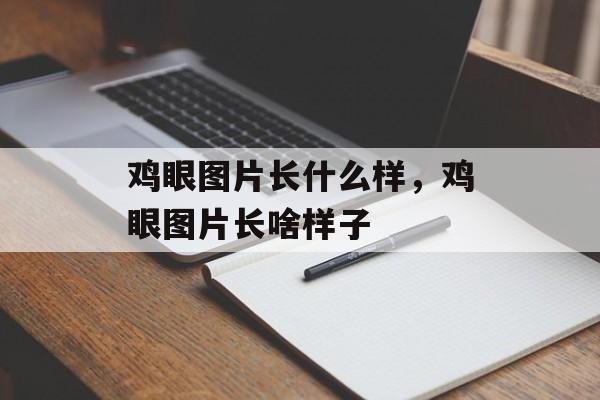 鸡眼图片长什么样，鸡眼图片长啥样子-第1张图片-