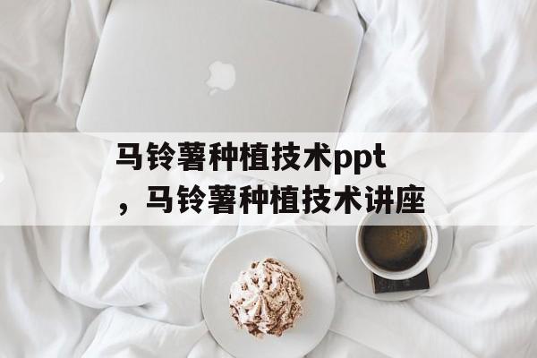 马铃薯种植技术ppt，马铃薯种植技术讲座-第1张图片-