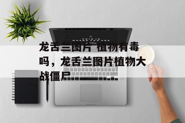 龙舌兰图片 植物有毒吗，龙舌兰图片植物大战僵尸-第1张图片-