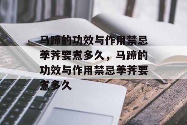 马蹄的功效与作用禁忌荸荠要煮多久，马蹄的功效与作用禁忌荸荠要煮多久-第1张图片-
