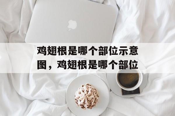 鸡翅根是哪个部位示意图，鸡翅根是哪个部位-第1张图片-